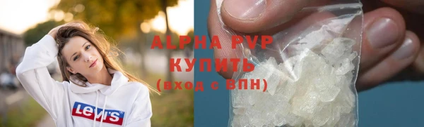 прущие грибы Абаза